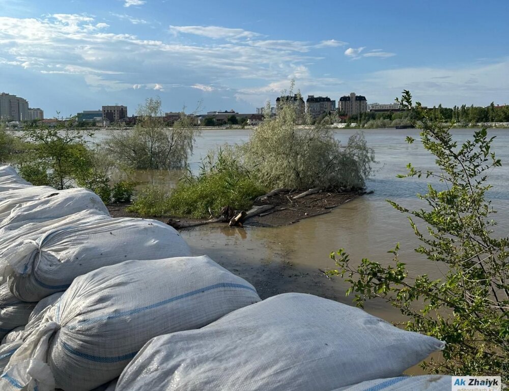 Уровень воды в реке Жайык в Атырауской области продолжает снижаться