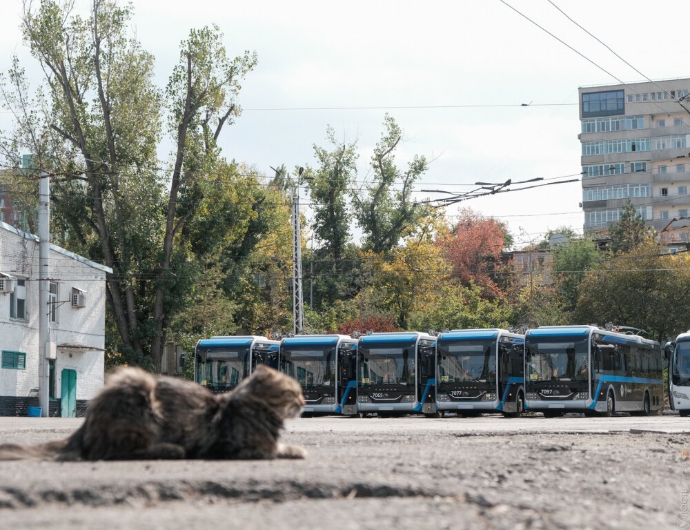 В Алматы закупят 112 новых троллейбусов