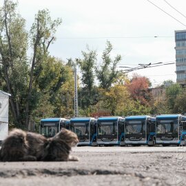 В Алматы закупят 112 новых троллейбусов