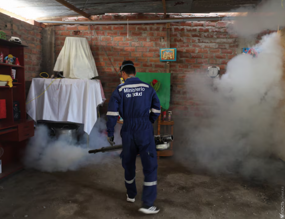 Число случаев лихорадки денге в Латинской Америке выросло почти на 50% 