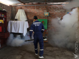 Число случаев лихорадки денге в Латинской Америке выросло почти на 50% 