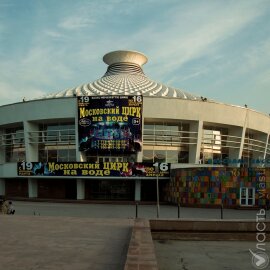 Случаев жестокого обращения с животными в государственных цирках не было – Минкульт 