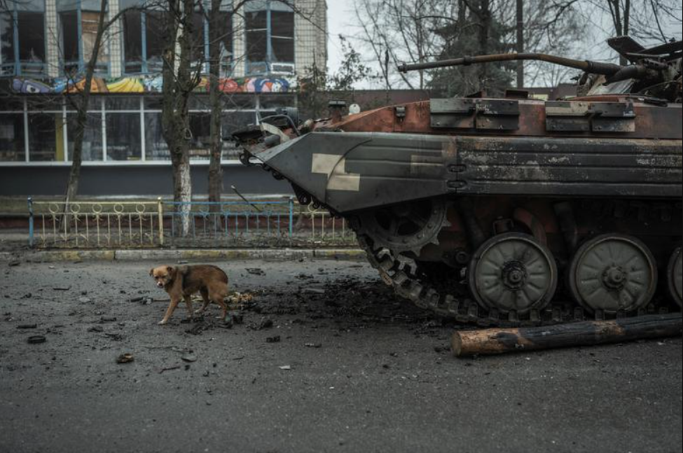 Более 1,5 тыс. мирных граждан Украины погибли с 24 февраля – ООН