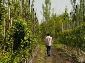 Аграрный научно-образовательный центр трансформируют в агротехнологический хаб, заявил Токаев