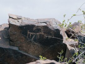 «Охотники за петроглифами» нашли 11 новых скоплений древних рисунков в трех областях Казахстана