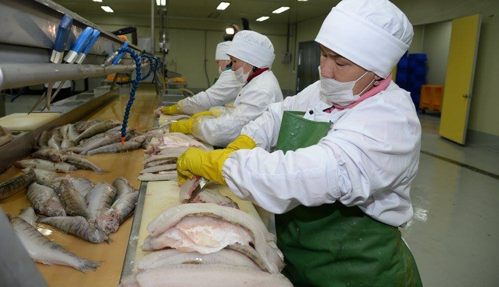 ​В Атырау создадут управление рыбной промышленности