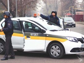 Депутаты просят передать обеспечение безопасности на концертах частным охранным агентствам 