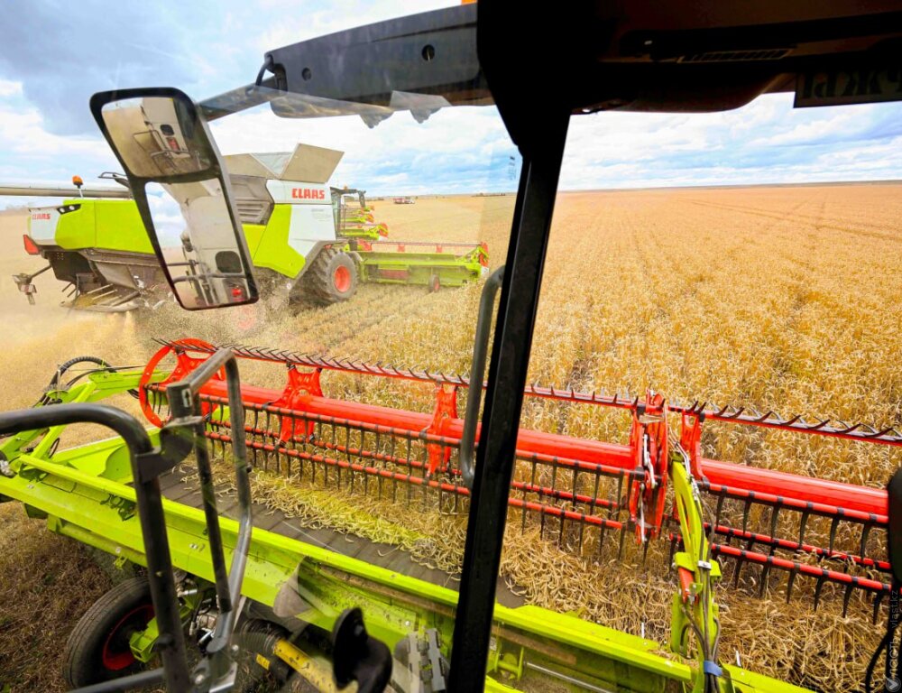 В Казахстане намолочено 12,7 млн тонн зерна