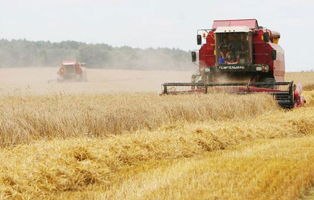 В Казахстане намолочено 18,1 млн тонн зерна