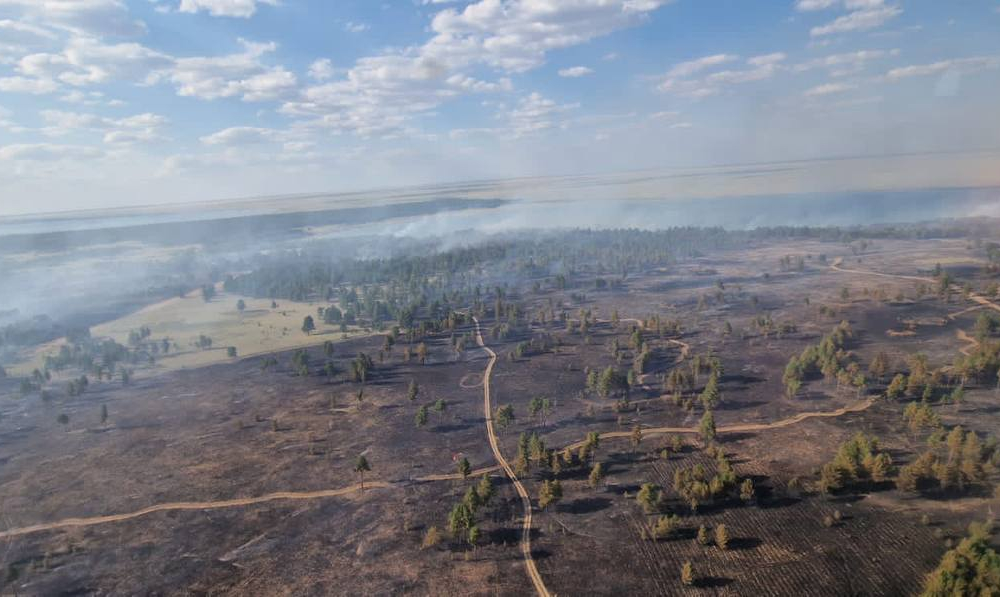 Лесной пожар в области Абай ликвидирован спустя почти две недели