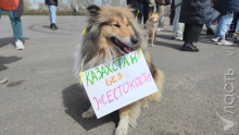 Закон об убийстве животных
