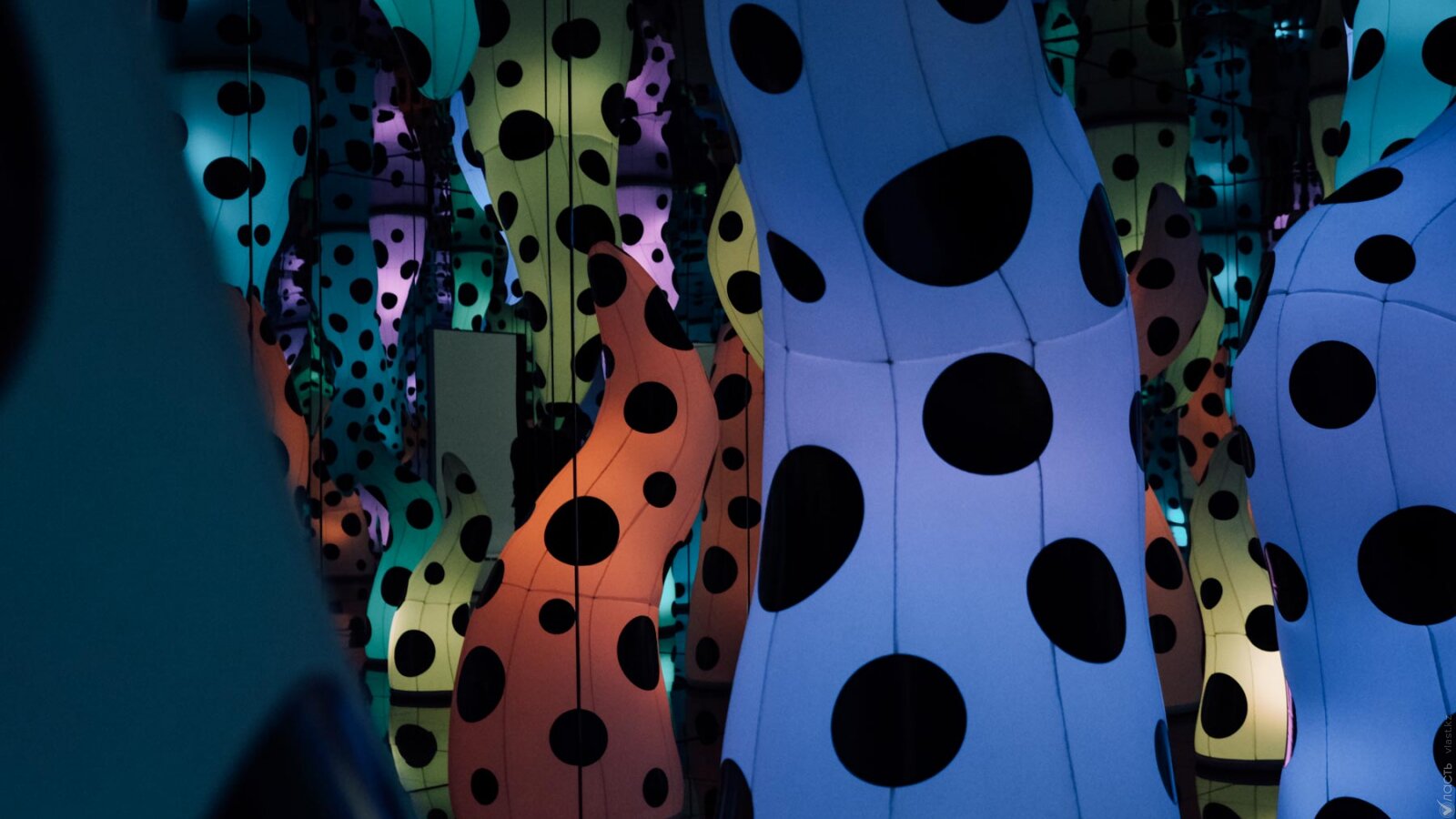 «Все голодны до искусства»