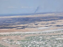 Пожар на территории Иле-Балхашского резервата достигал 6200 гектар — МЧС