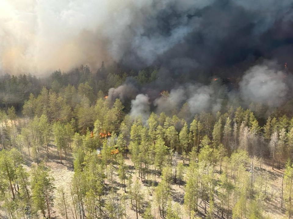 Жители трех сел в области Абай покинули дома из-за лесного пожара