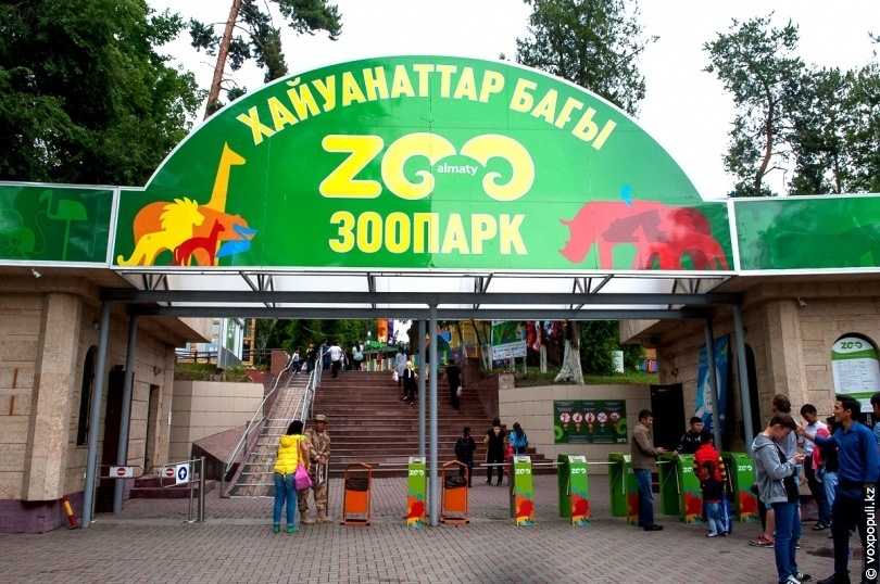 Алматинский зоопарк подал в суд на пользователей соцсетей