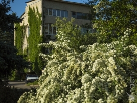 Секреты Ботанического сада в Алматы: Купидон, Гёте и семена в авторучке