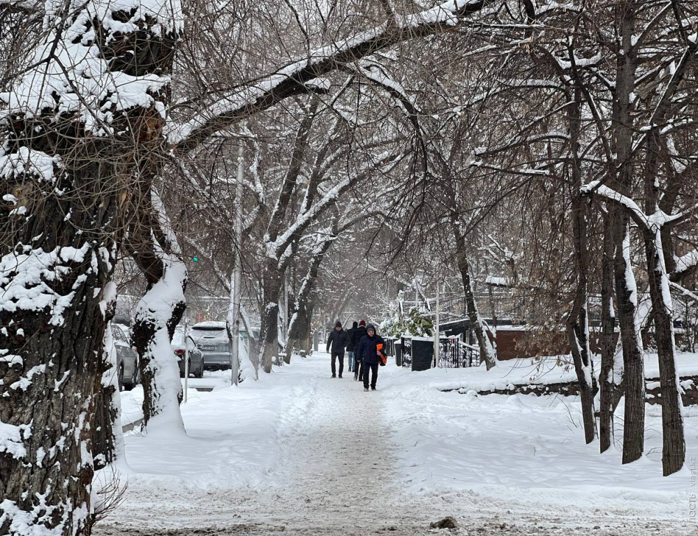 Снег, метель и морозы ожидаются в Казахстане