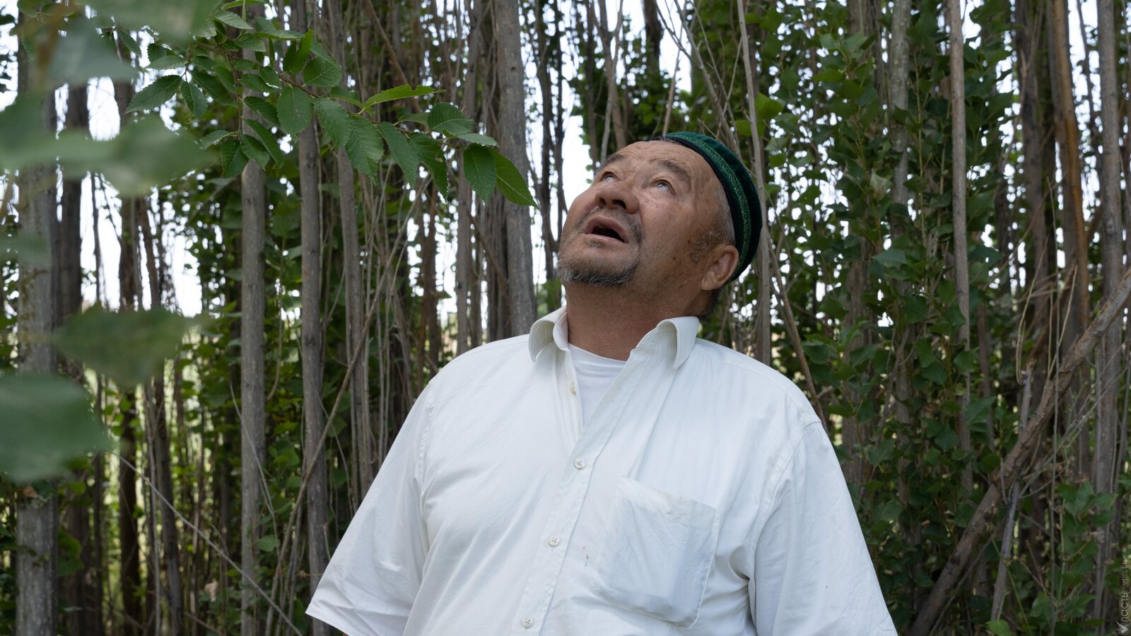 Көшербай Кәменұлы, қандас: «После переезда я высадил 5 тысяч деревьев»
