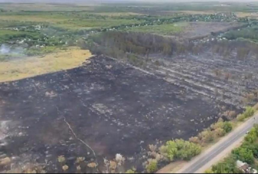 40 га леса сгорело в Караганде