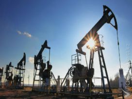 Сроки возобновления добычи нефти на Кашагане до сих пор неизвестны – Мынбаев   