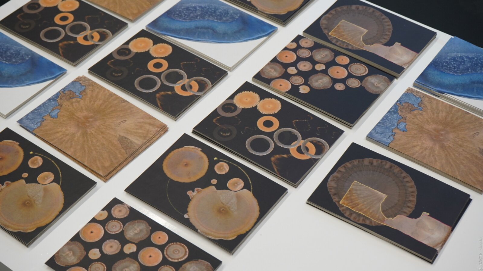 Art, Science, and the Language of Soil in Kazakhstan