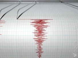 В Алматинской области зафиксировано землетрясение магнитудой 4,2