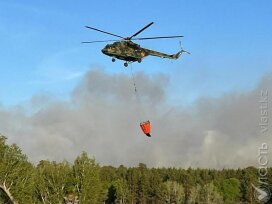 Площадь пожара в Баянаульском природном парке достигла почти 6 тыс. га