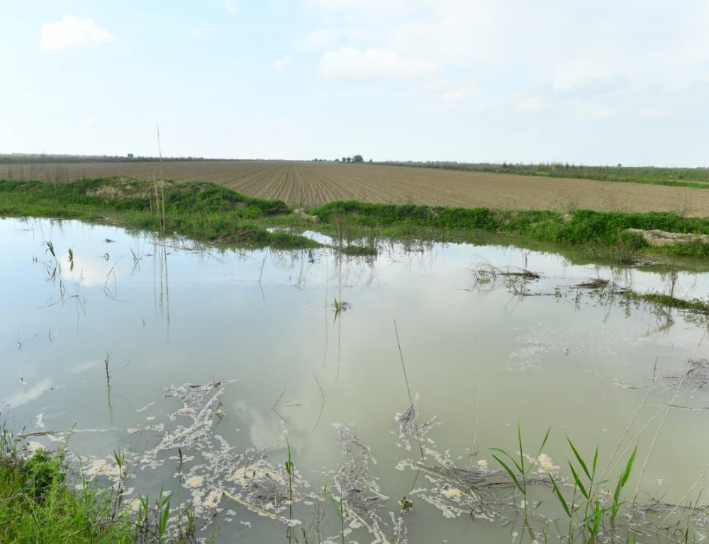 В 4,1 млрд тенге оценили ущерб аграриев Туркестанской области из-за наводнения