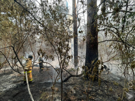 14 работников лесничества не выходят на связь с места пожара в области Абай