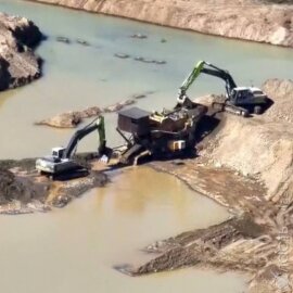 Замдиректора филиала «Правительства для граждан» в ВКО подозревается в незаконной добыче драгметаллов