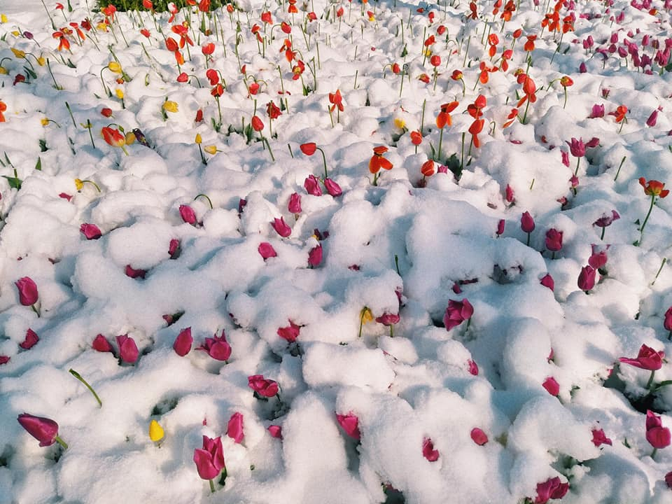 Дожди с переходом в снег ожидаются в Казахстане