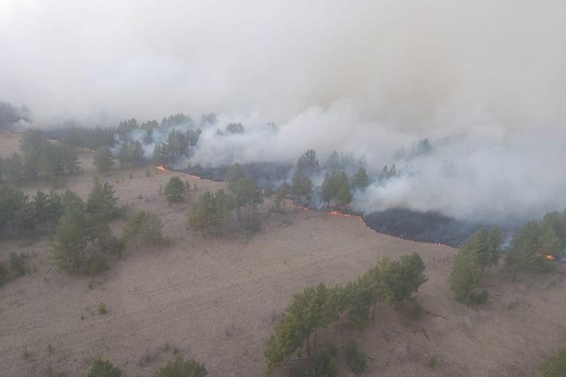 Крупный пожар тушат в Павлодарской области 