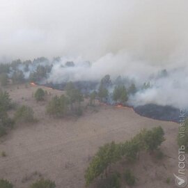 Крупный пожар тушат в Павлодарской области 