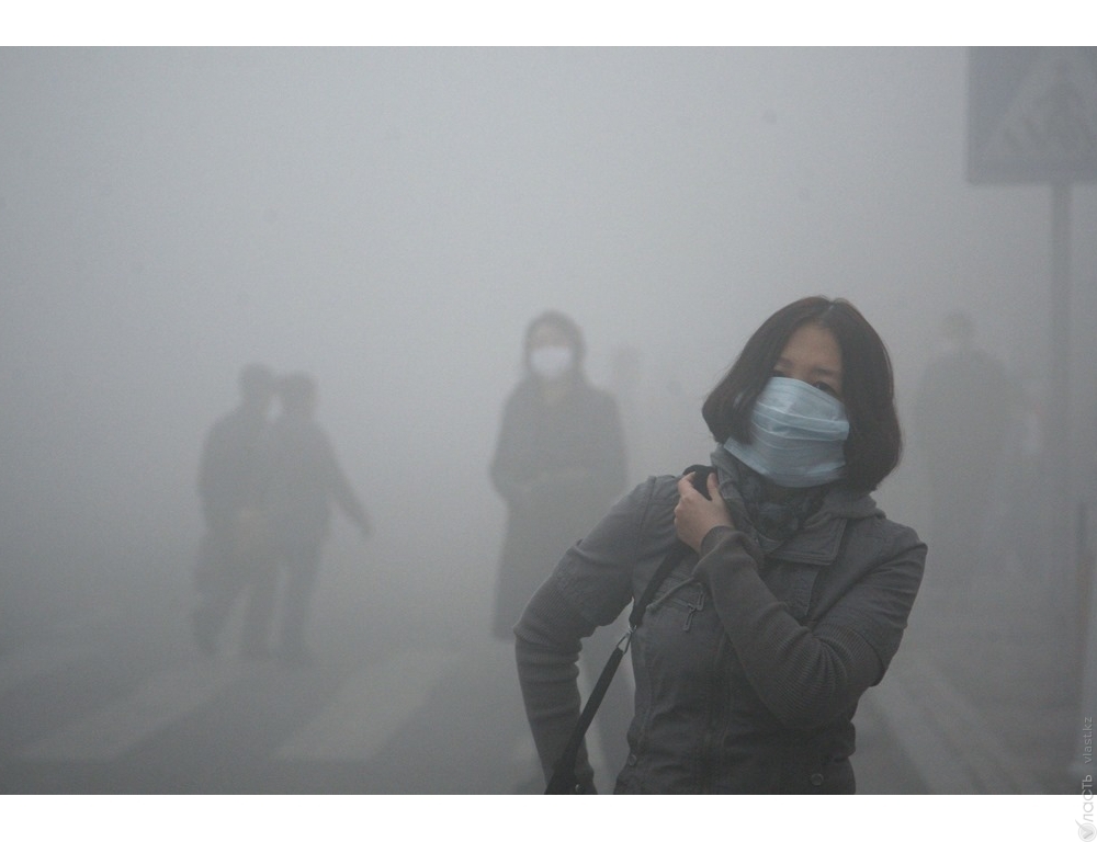 Китайская компания разработала «стены-очистители воздуха»