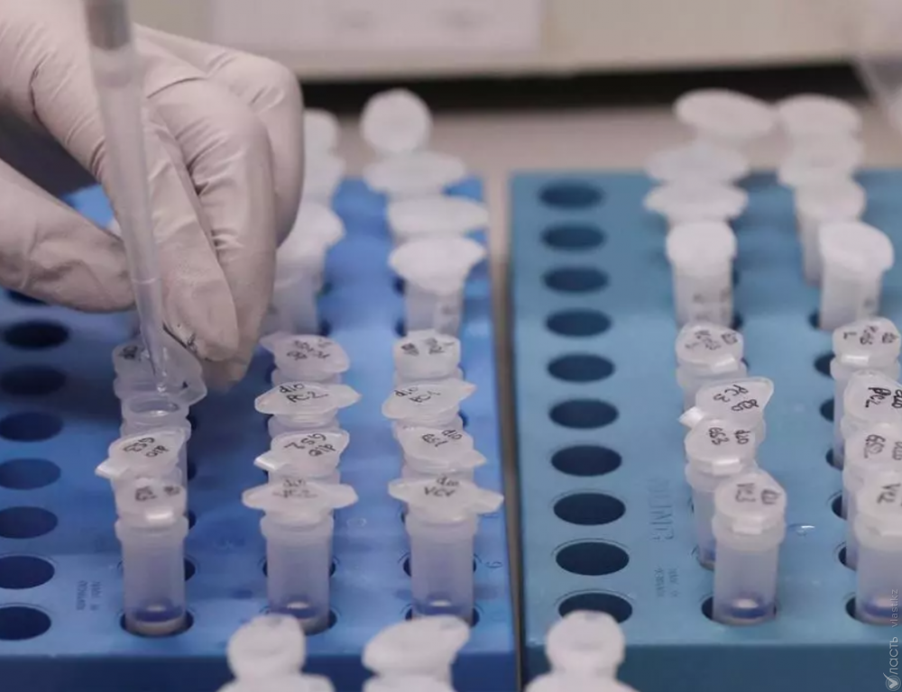 В Австралии начались испытания вакцины от коронавируса на людях