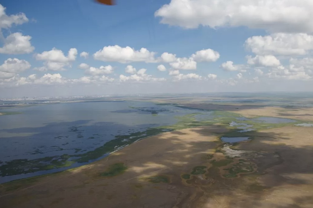 С начала года в Аральское море поступило в пять раз больше воды