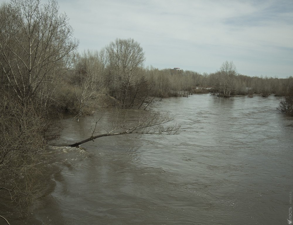 На реке Сырдарья уровень ледохода превысил опасную отметку