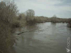 На реке Сырдарья уровень ледохода превысил опасную отметку