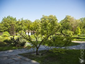 В Алматы презентовали проект реконструкции ботанического сада
