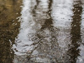 На севере страны ожидаются дожди
