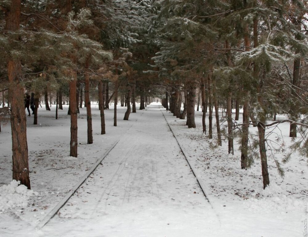 Парк «Южный» в Алматы планируют благоустраивать и озеленять