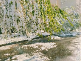 Снег и похолодание ожидаются на севере и востоке Казахстана