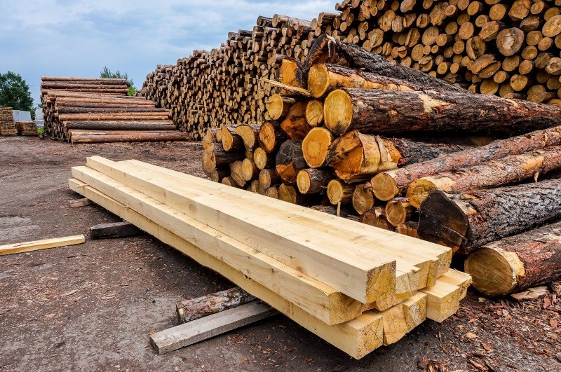 Казахстан ввел запрет на вывоз из страны отдельных видов лесоматериалов 