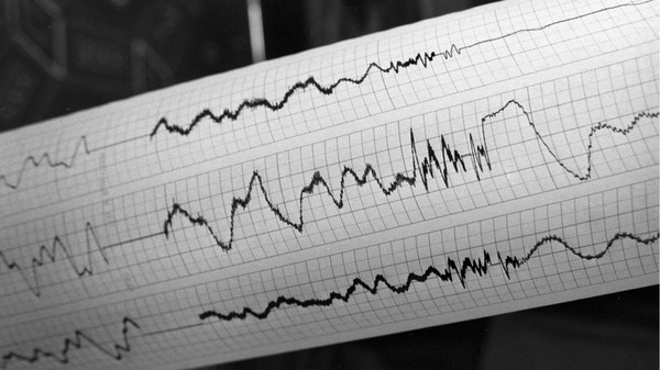 В Восточном Казахстане произошло землетрясение магнитудой 5,8