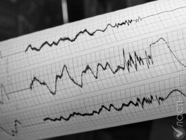 В Восточном Казахстане произошло землетрясение магнитудой 5,8