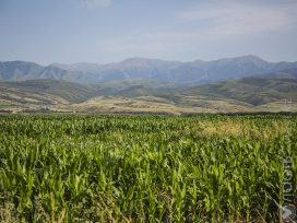 За полгода государству возвращены 904 тыс. гектаров неиспользуемых сельхозземель  
