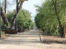 Акимат Алматы подал иск в суд о принудительном изъятии участка в парке «Южный» 