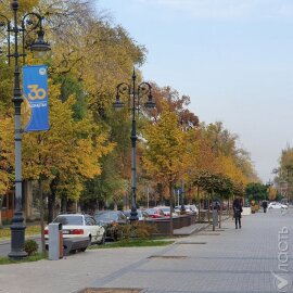 В Алматы презентовали методическое пособие о болезнях городских деревьев