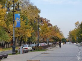 В Алматы презентовали методическое пособие о болезнях городских деревьев