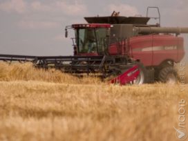 В Казахстане на 90% завершена уборка зерновых 